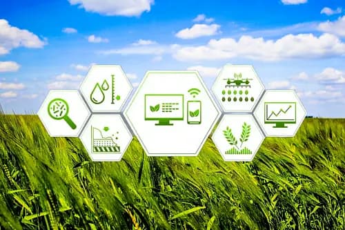 No specific product has magical properties. Therefore, we do not sell fertilizers, we sell working systems that allow achieving results