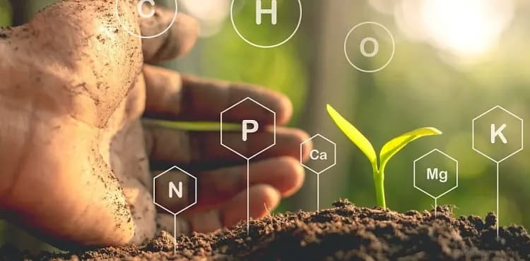 Phytomodulators and organo-mineral complexes