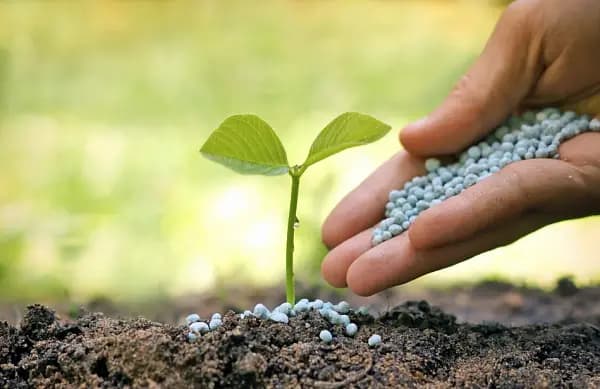 How to increase fertilizer efficiency